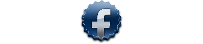 The Facebook Badge